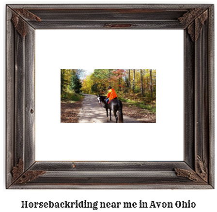 horseback riding near me in Avon, Ohio